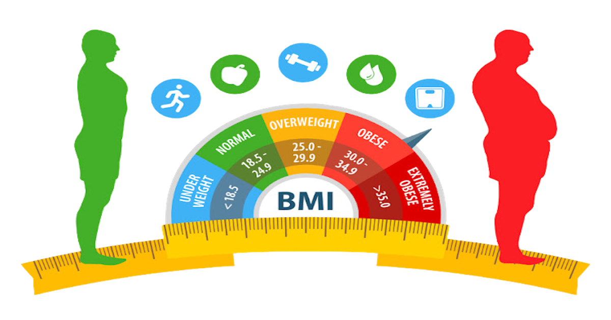 Body Mass Index BMI fitting Distribution with R | Maurizio Loiacono ...